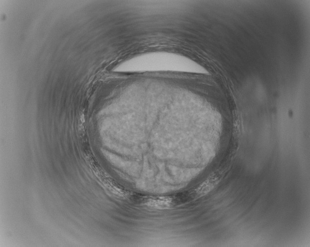 X0000051240369200507152130