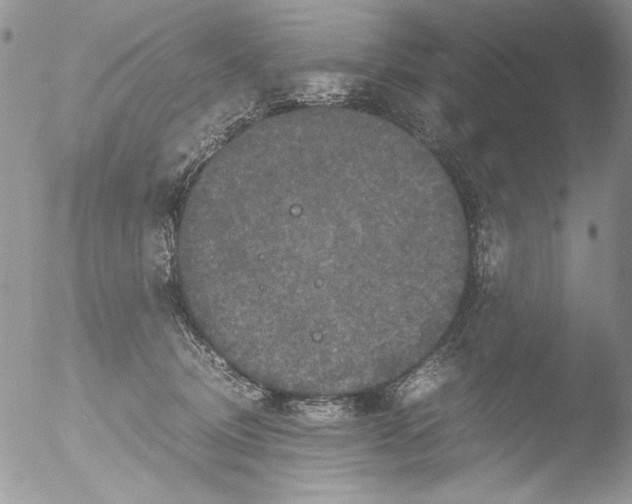 X0000051240370200507152130