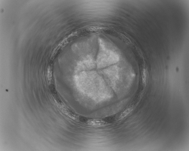 X0000051240372200507152130