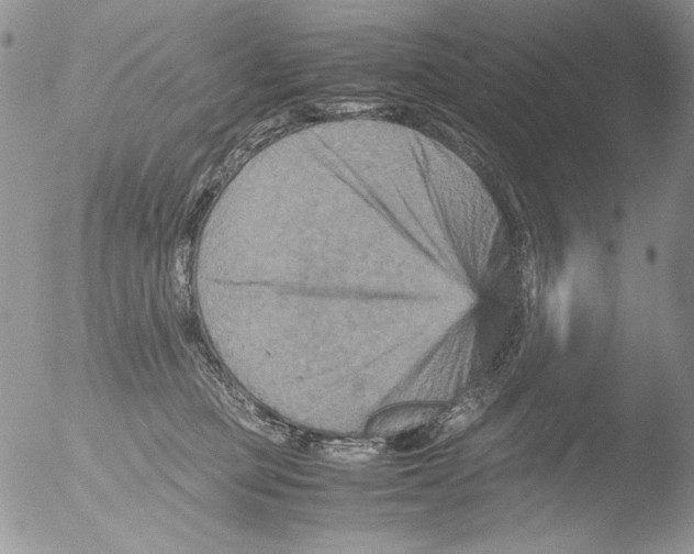 X0000051240373200507152130