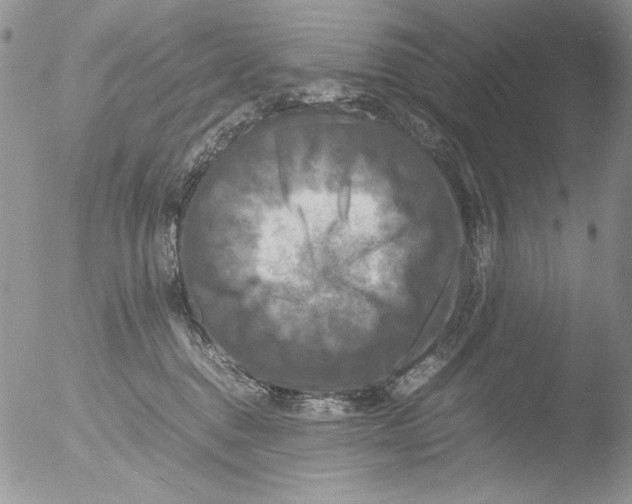 X0000051240376200507152130