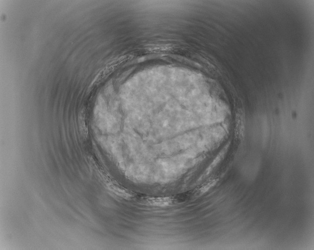 X0000051240377200507152130