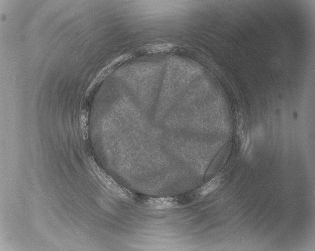 X0000051240378200507152130