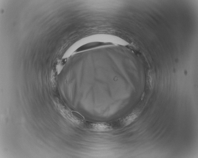 X0000051240380200507152130