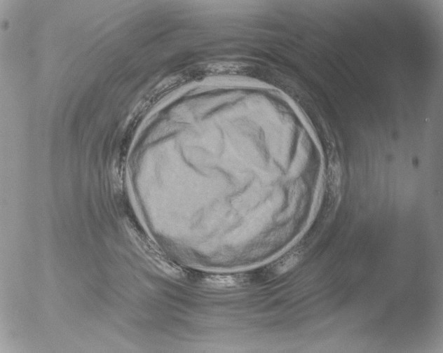 X0000051240381200507152130