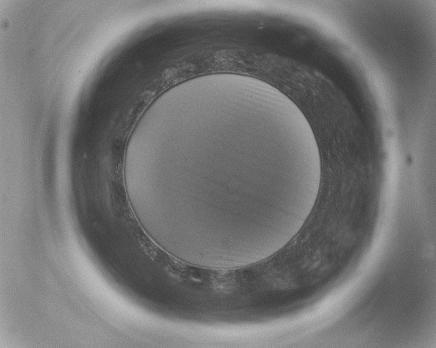 X0000051240382200507152130