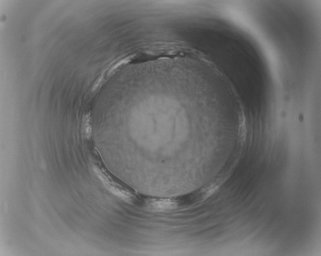 X0000051240383200507152130