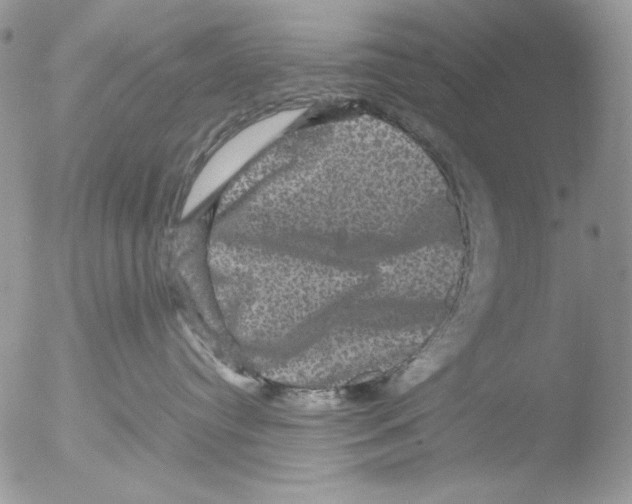 X0000051240384200507152130