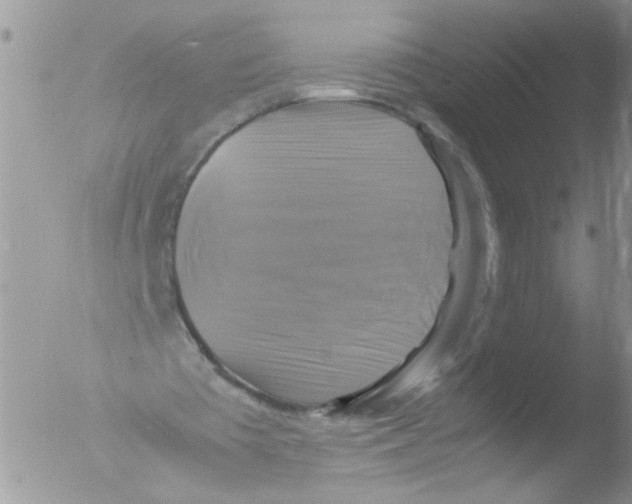 X0000051240385200507152129