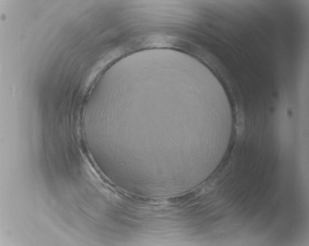 X0000051240386200507152129