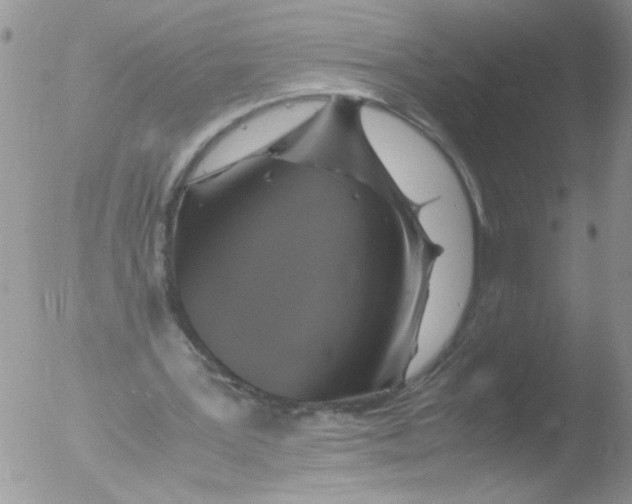 X0000051240387200507152129