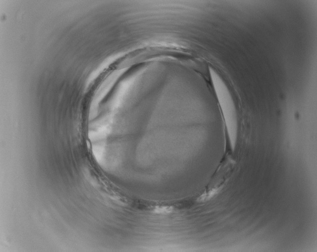 X0000051240388200507152129