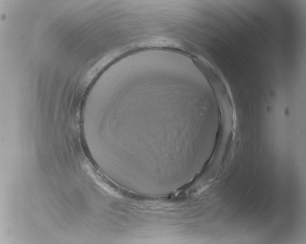 X0000051240389200507152129