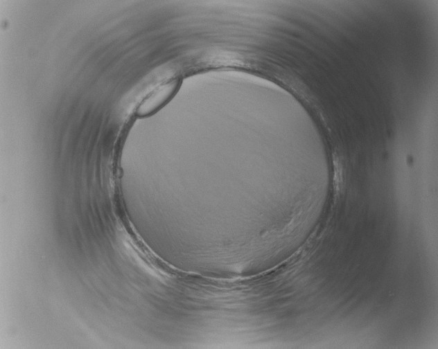 X0000051240390200507152129