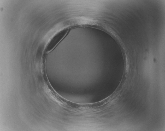 X0000051240391200507152129