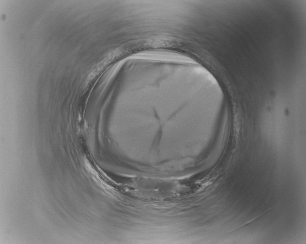 X0000051240393200507152129