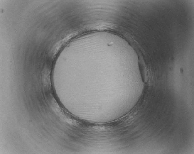 X0000051240394200507152129