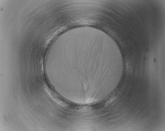 X0000051240398200507152129