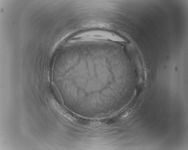 X0000051240399200507152129