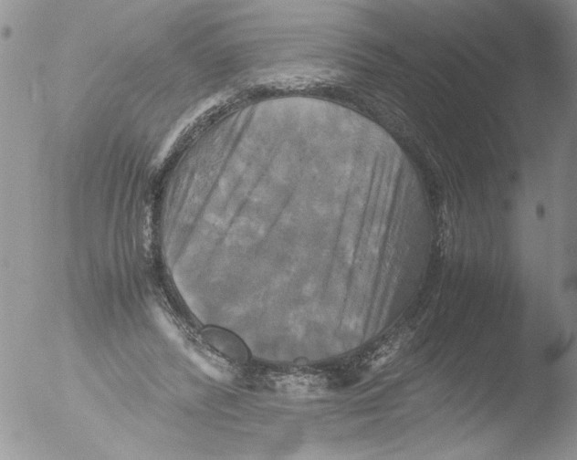 X0000051240400200507152129