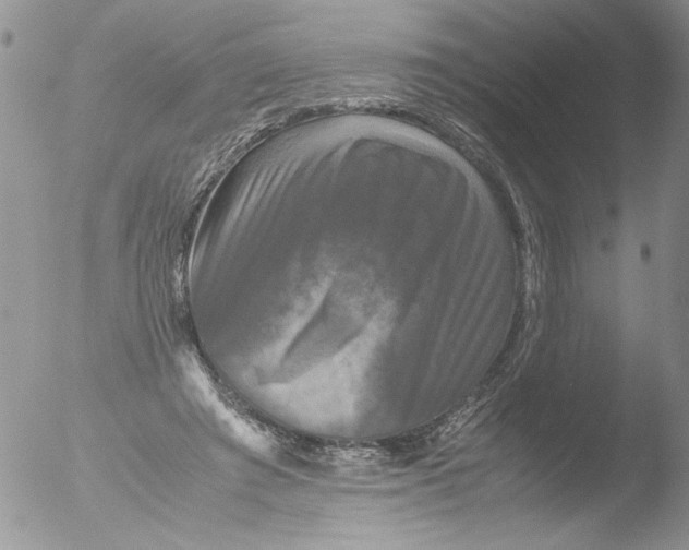 X0000051240401200507152129