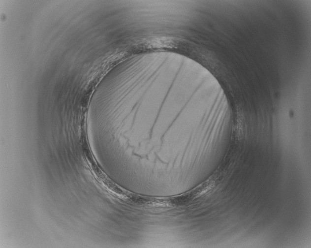 X0000051240402200507152129