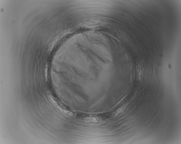 X0000051240404200507152129