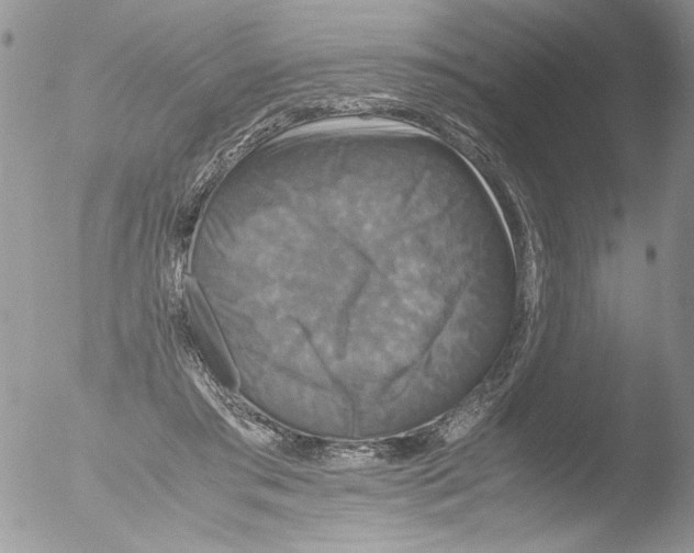 X0000051240405200507152129