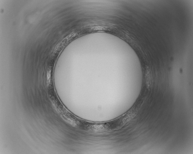 X0000051240406200507152129