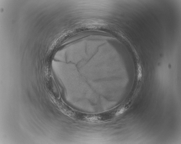 X0000051240407200507152129