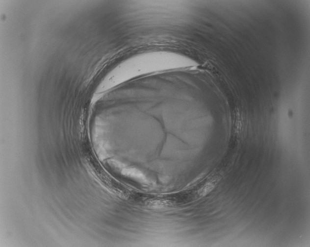 X0000051240408200507152129