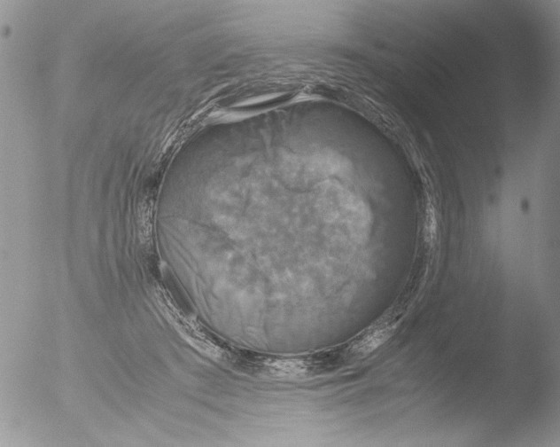 X0000051240409200507152129