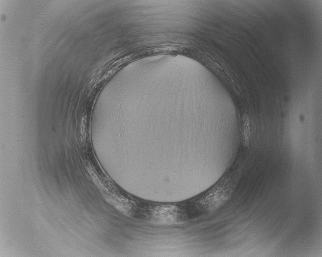 X0000051240410200507152129