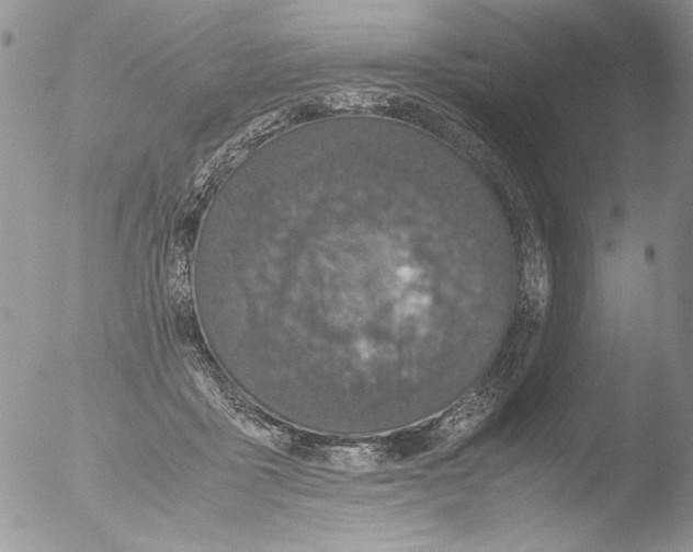 X0000051240411200507152129