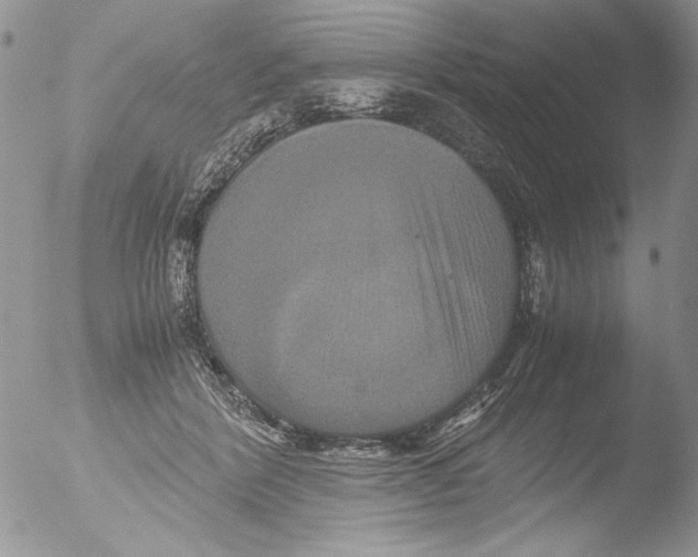 X0000051240412200507152129