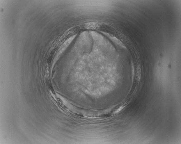 X0000051240413200507152129