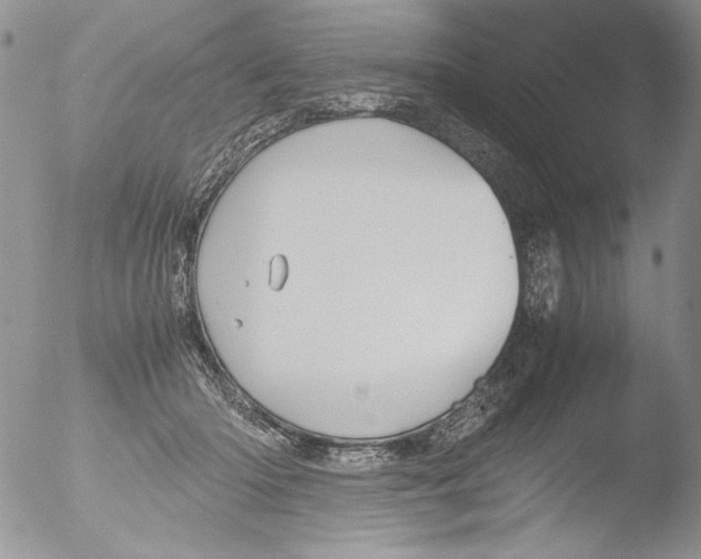 X0000051240414200507152129