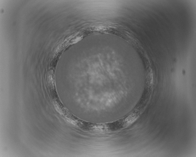 X0000051240415200507152128