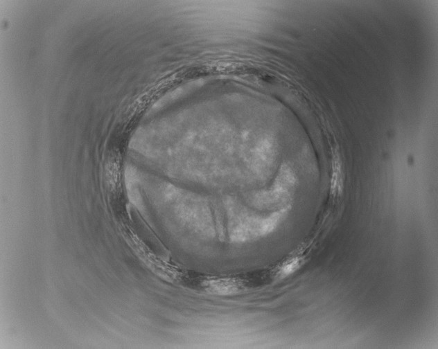 X0000051240417200507152128