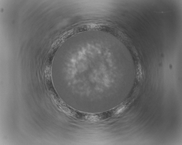 X0000051240419200507152128