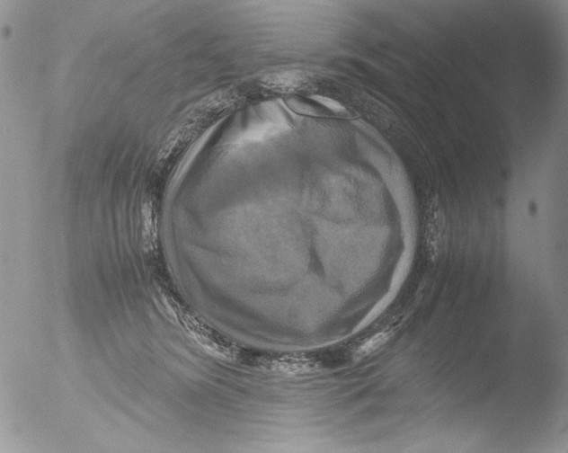 X0000051240420200507152128