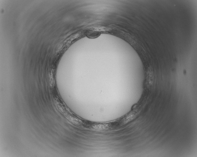 X0000051240422200507152128