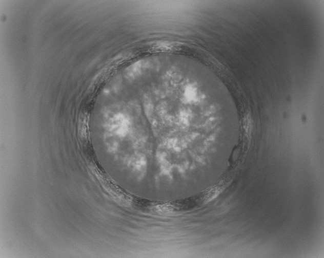 X0000051240423200507152128