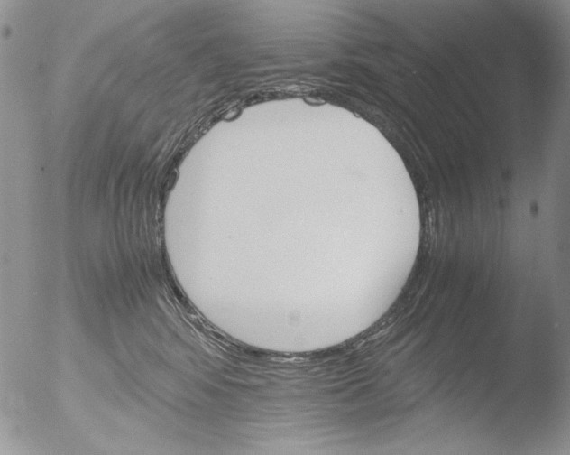 X0000051240424200507152128