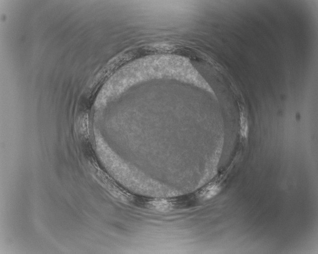 X0000051240425200507152128