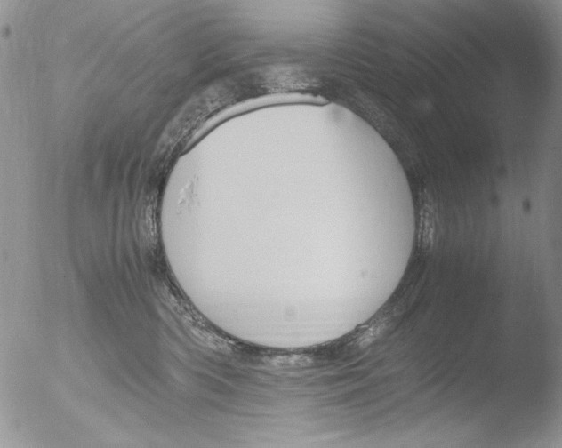 X0000051240426200507152128