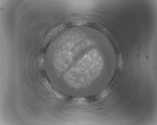 X0000051240427200507152128