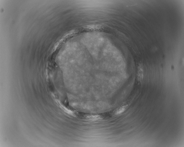 X0000051240428200507152128