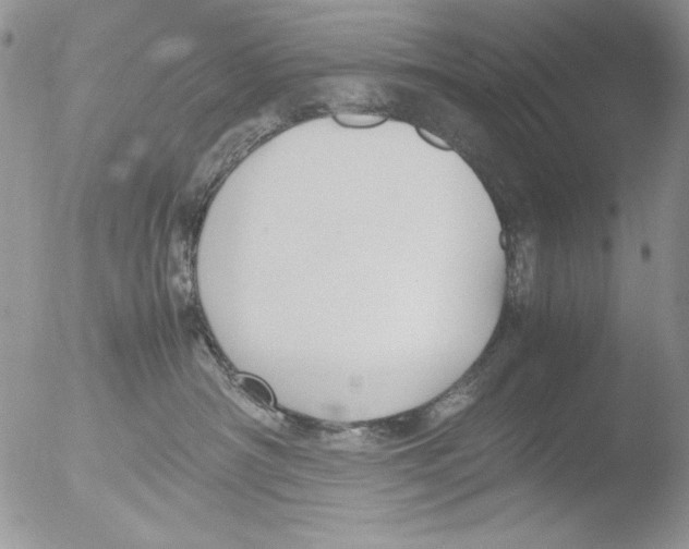 X0000051240430200507152128