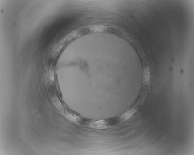 X0000051240431200507152128